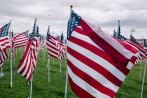 American flags in ground